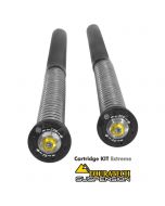 Touratech Suspension Cartridge Kit Extreme for BMW F800 GS from 2013 onwards